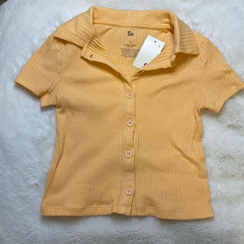 Cropped Collared Button-up Tee 🐱